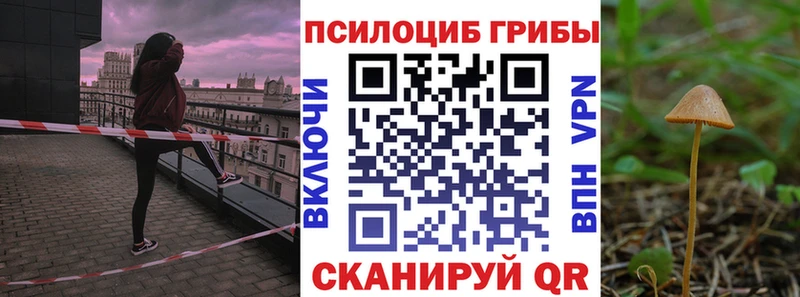 закладка kraken зеркало Псилоцибиновые грибы ЛСД Городище