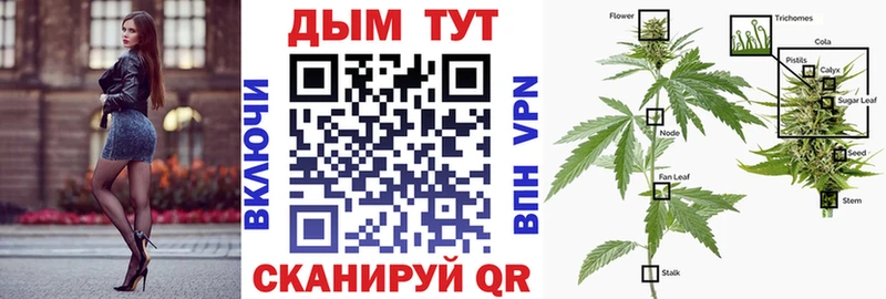 Конопля индика Городище