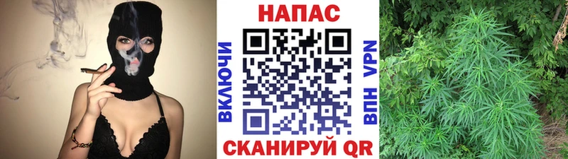 OMG зеркало  Городище  сайты даркнета Telegram  МАРИХУАНА THC 21% 